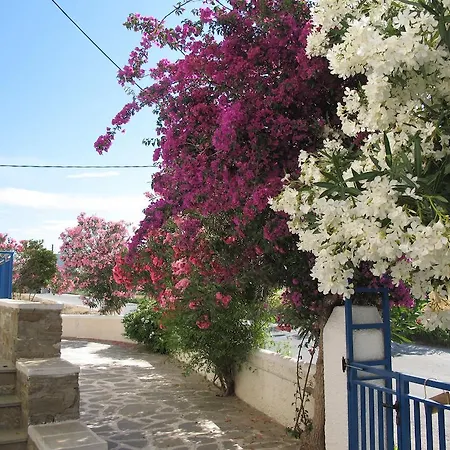 Angelina Apartment Parikia (Paros)