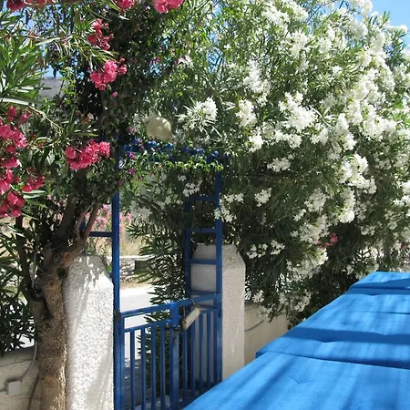 Angelina Apartment *