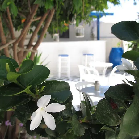 Angelina Apartment Parikia (Paros)